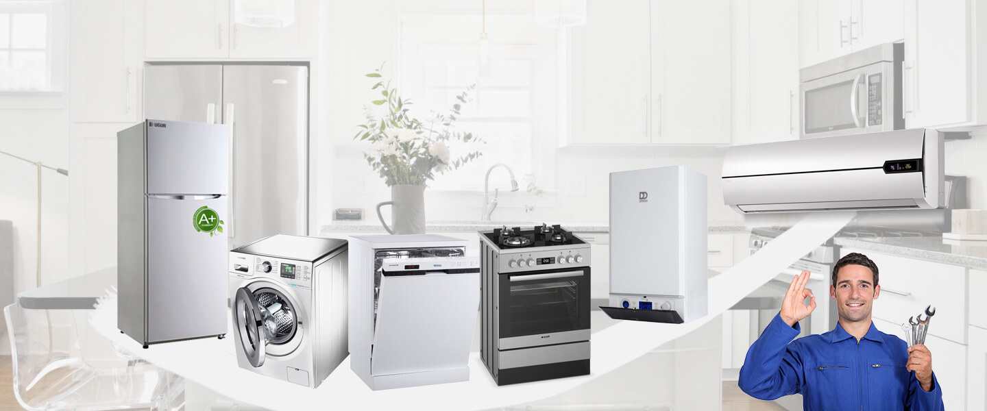 Bodrum Electrolux Servisi
